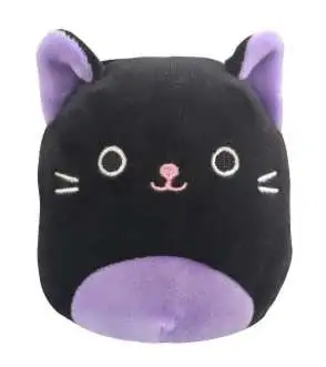 Squishmallows Autumn the Black Cat 2-Inch Mini Plush β Soft & Cute Collectible 3 Squishmallows Autumn the Black Cat 2-Inch Mini Plush β Soft & Cute Collectible